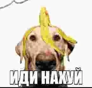 Sticker Больше стикеров 👉🏻 @stickertg4 - 6