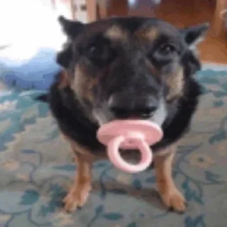 Sticker Больше стикеров 👉🏻 @stickertg4 - 4