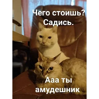 Sticker Хуананзион в моём сердечке❤️ - 8