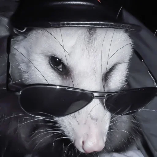 Sticker huening_lumicore - 1