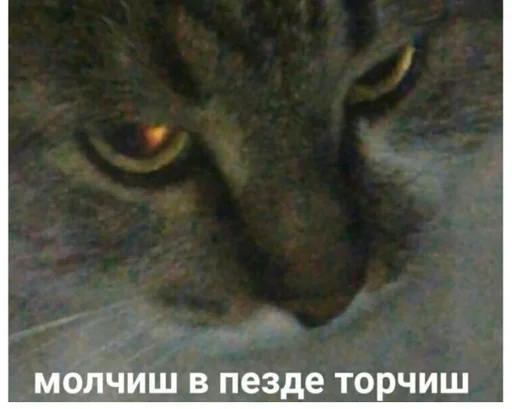 Стикер hueputalo :: @fStikBot - 10