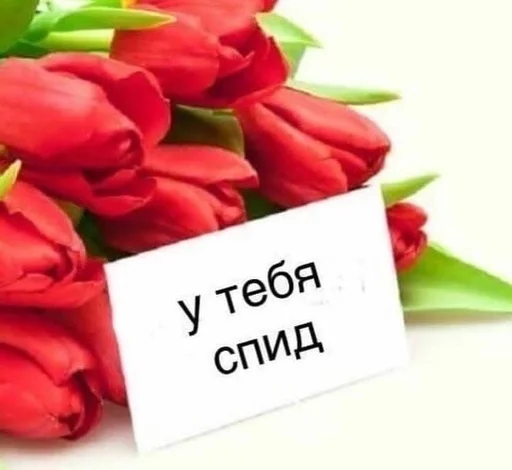 hueputalo :: @fStikBot - 