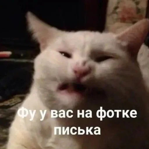 Стикер рот ебала - 9