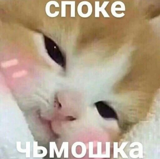 Стикер рот ебала - 2