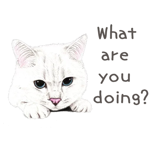 Sticker hug_me_iam_your_cat - 1