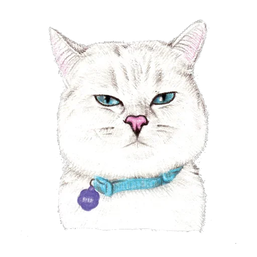 Sticker hug_me_iam_your_cat - 1