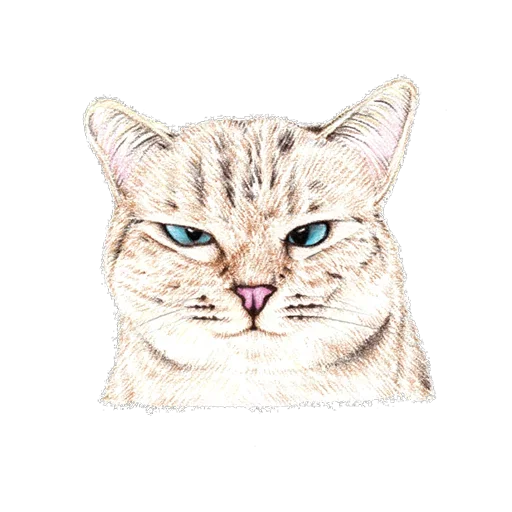 Sticker hug_me_iam_your_cat - 1