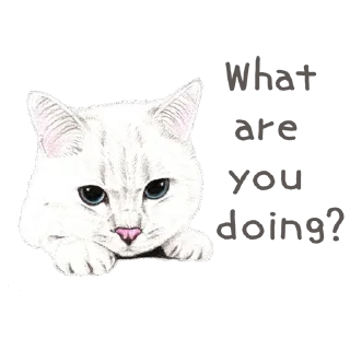 Стикер Hug me Pls - Iam your Cat @stickersb2b - 8