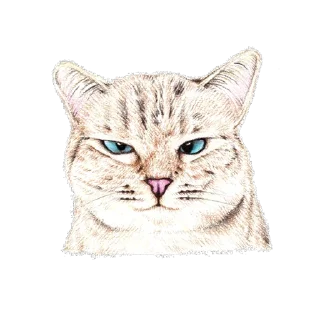 Стикер Hug me Pls - Iam your Cat @stickersb2b - 6