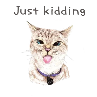 Стикер Hug me Pls - Iam your Cat @stickersb2b - 4