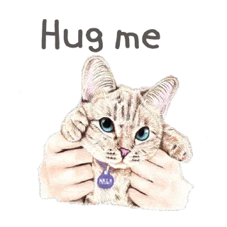 Стикер Hug me Pls - Iam your Cat @stickersb2b - 2