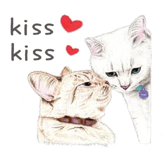 Стикер Hug me Pls - Iam your Cat @stickersb2b - 5