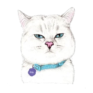 Стикер Hug me Pls - Iam your Cat @stickersb2b - 7