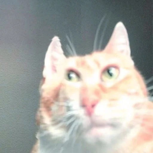 Sticker hugomoreirs - 1