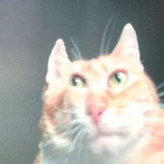 Стикер MAGDALENE - 10