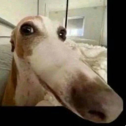 Sticker hui_hui1 - 1