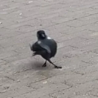 Стикер Что-то - 8