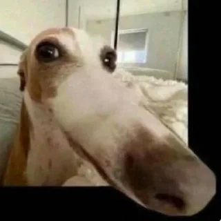 Стикер Что-то - 1