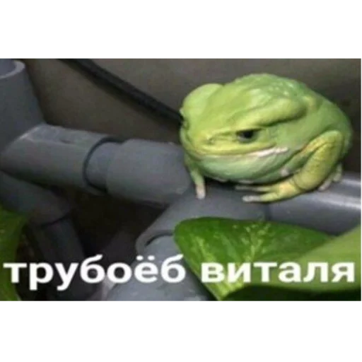 Стикер huihuihuihuihuihuihuiiiiii - 1