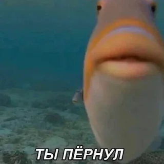 Стикер хуйхуйхуйхуйхуйхуйхуйхуйхуй - 5
