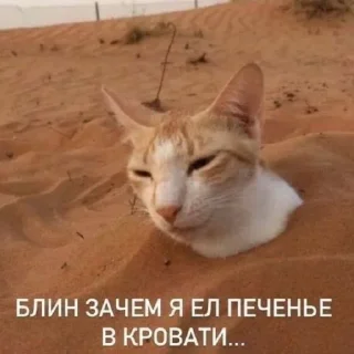 Стикер хуйхуйхуйхуйхуйхуйхуйхуйхуй - 6