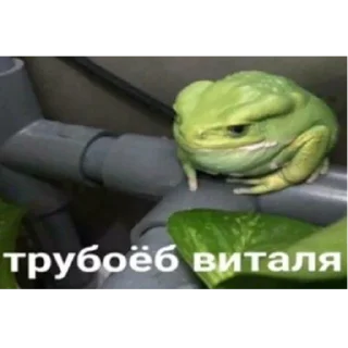 Стикер хуйхуйхуйхуйхуйхуйхуйхуйхуй - 2