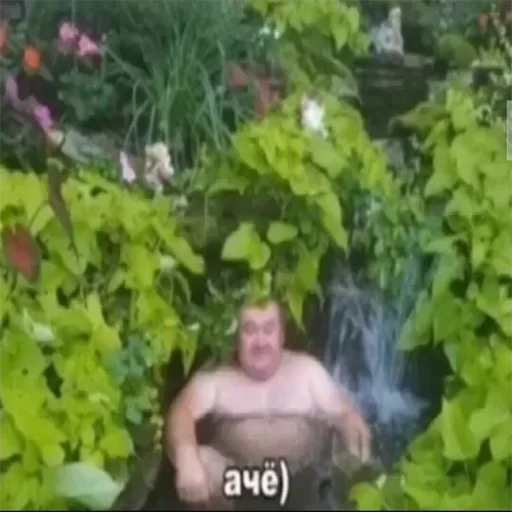 на открытом воздухе Человек трава