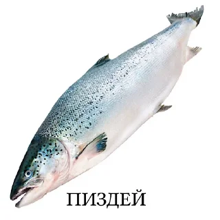 Стикер хуй - 2