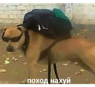 Стикер хуй - 10