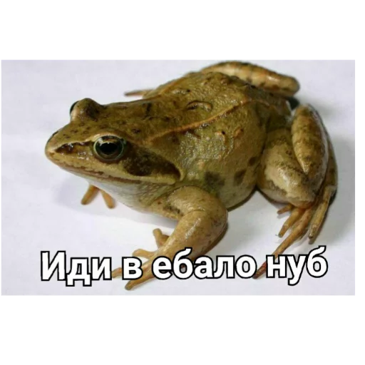 Жконг - мультфильм