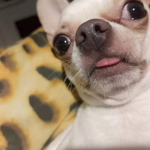 Sticker Хуита - 11