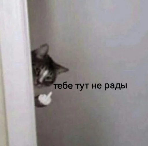 Sticker Хуита - 7