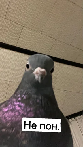 Sticker Хуита - 5