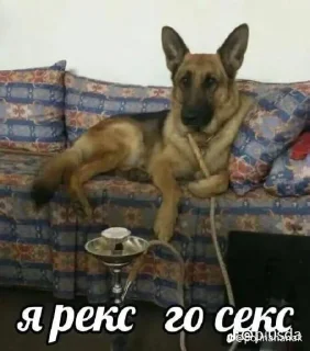 Sticker хуита @EmojiRu_Bot - 9