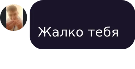 Sticker huizalupapenisher - 1