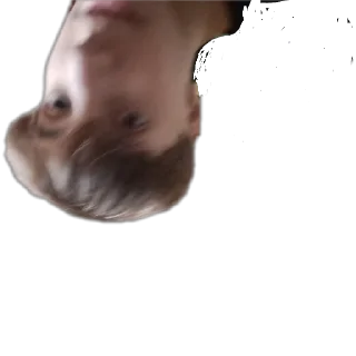 Sticker хуйчилен - 9