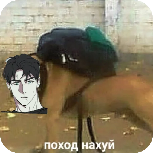 Sticker hujlodzho - 1