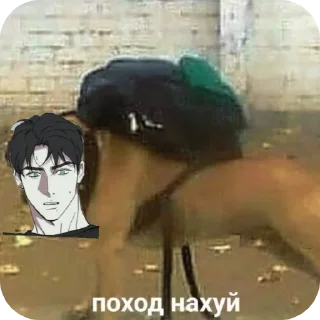 Стикер хуйлоджо - 1