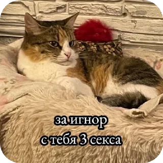 Стикер хуйн - 11