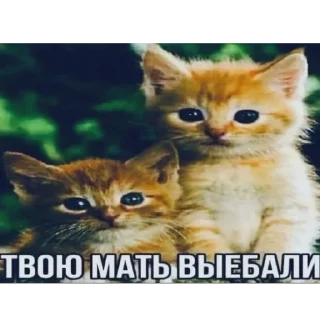 Стикер хуйня - 11