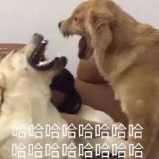 Sticker hupu_by_KyStkrBot - 1