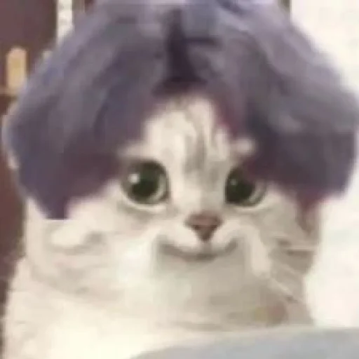 Стикер hupu_by_KyStkrBot - 1