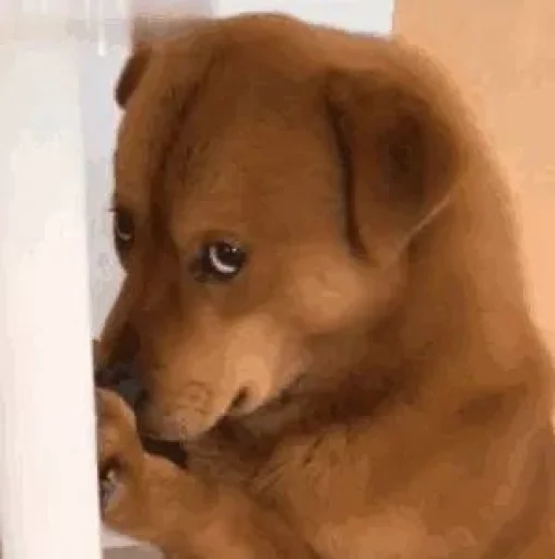 Sticker hupu_by_KyStkrBot - 1