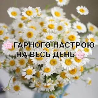 Sticker наліпОчки - 10