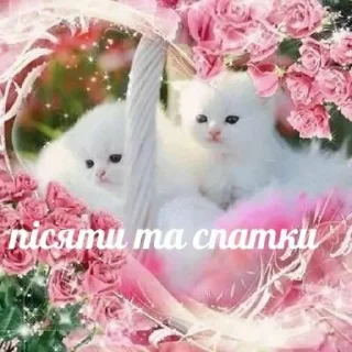 Sticker наліпОчки - 9