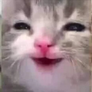 Sticker наліпОчки - 3