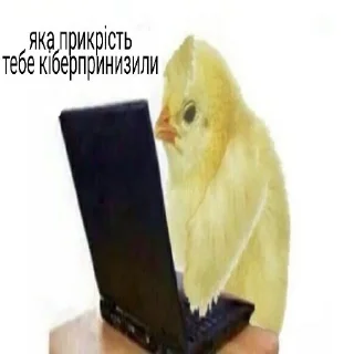 Sticker наліпОчки - 2