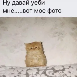 Sticker Больше стикеров 👉🏻 @stickertg4 - 8