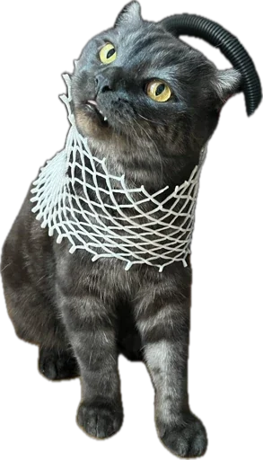 Стикер huylusha223 - 1