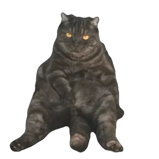 Sticker huylusha223 - 1